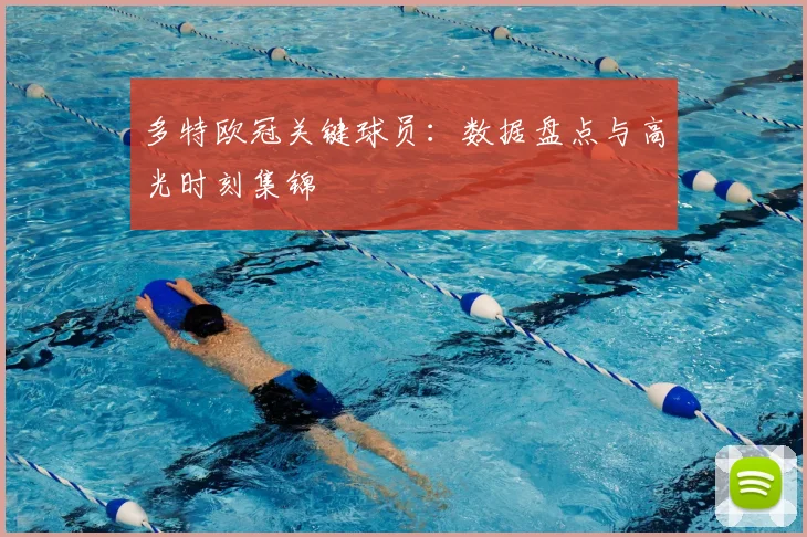 多特欧冠关键球员:数据盘点与高光时刻集锦