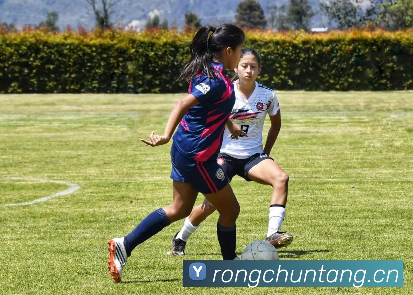 多媒体互动体验